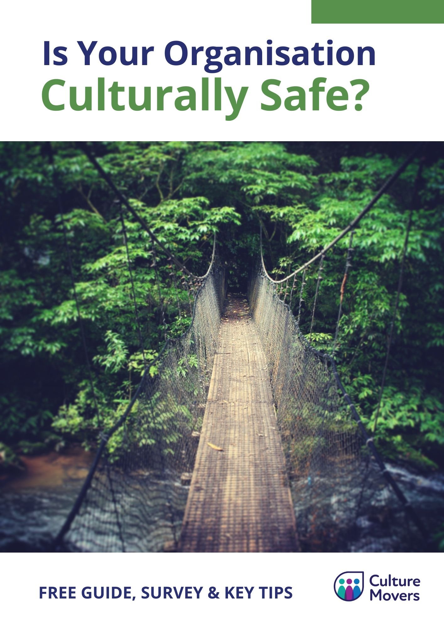 Free Cultural Safety Guide